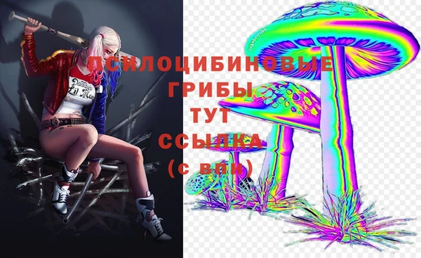 метадон Абинск